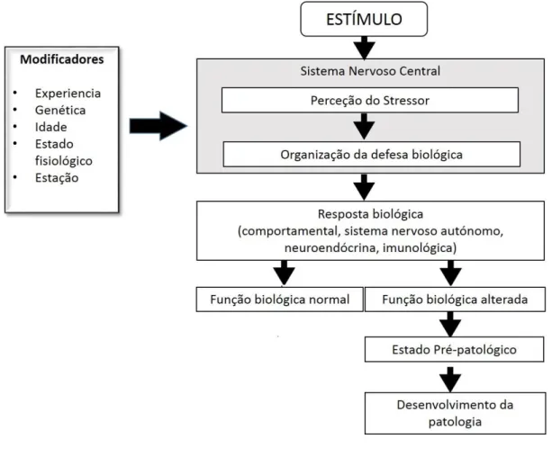 Figura 1. Modelo de resposta biológica ao stress (adaptado de Moberg, 2000). 