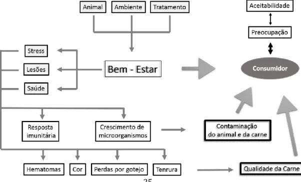 Figura  4.  Fatores  de  stress  que  afetam  a  qualidade  da  carne  e  a  contaminação,  relacionado  com a aceitação do consumidor (adaptado de Lambooij, 2007)