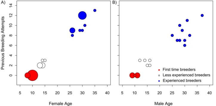 Figure 1. The age and breeding experience of wandering albatrosses tracked during the incubation period in 2012