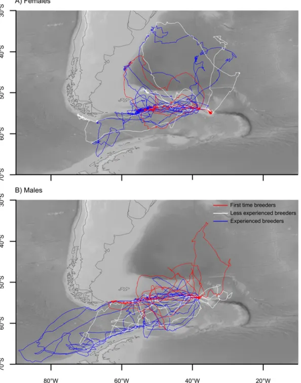 Figure 2. The foraging trips of wandering albatrosses tracked with GPS loggers during the incubation period in 2012