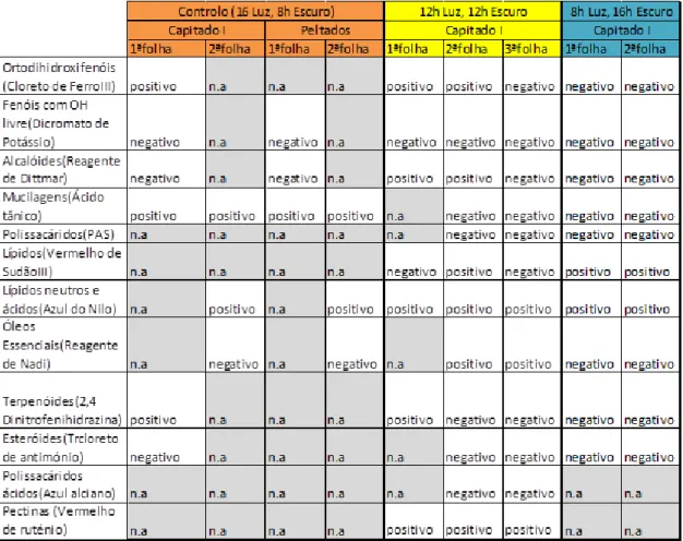 Tabela 1: Tabela resumo dos resultados dos testes histoquímicos, obtidos na 1ª, 2ª e 3ª folhas após  exposição a diferentes regimes fotoperiódicos (controlo, 12 luz/12h escuro e 16h luz/ 8h escuro)