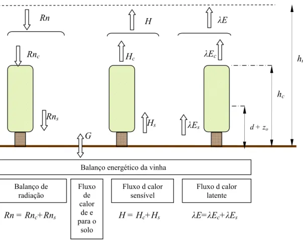 Figura 4.9 – Representação esquemática do modelo de partição dos componentes do balanço energético da  vinha pela sebe e pelo substrato
