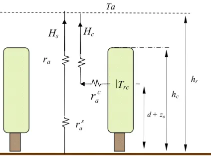 Figura 4.10 – Representação esquemática das resistências à transferência de calor sensível entre os  componentes do coberto e atmosfera.