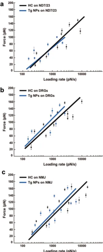 Figure 6. Loading rate dependence of HC fragment versus HC‐functionalized TMC nanoparticles