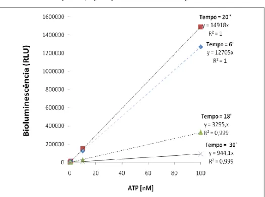 Figura 1 – Curvas padrão de ATP 