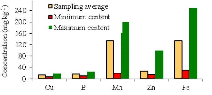 Table 4. Values of the biometric parameters (H: Plant height, EIH: First  ear insertion height, FMA: fresh matter accumulation, DM: dry matter,  and DMA: dry matter accumulation) 