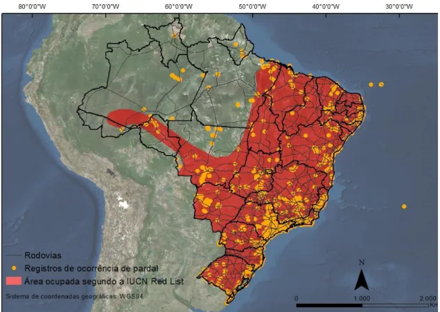 Figura  5:  Distribuição  dos  registros  do  P.  domesticus  no  Brasil  entre  1905  a  2016  (pontos  amarelos), e distribuição descrita pela IUCN (em vermelho)