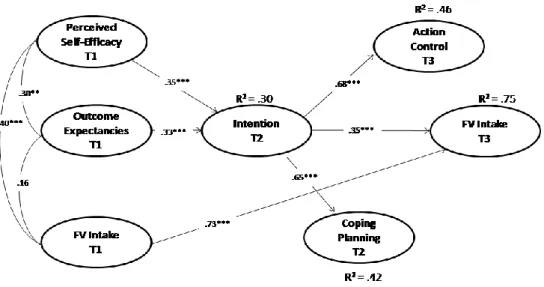 Figure 2. Model 1 with standardized coefficient estimates.   Note. **p< 0.01; ***p< 0.001