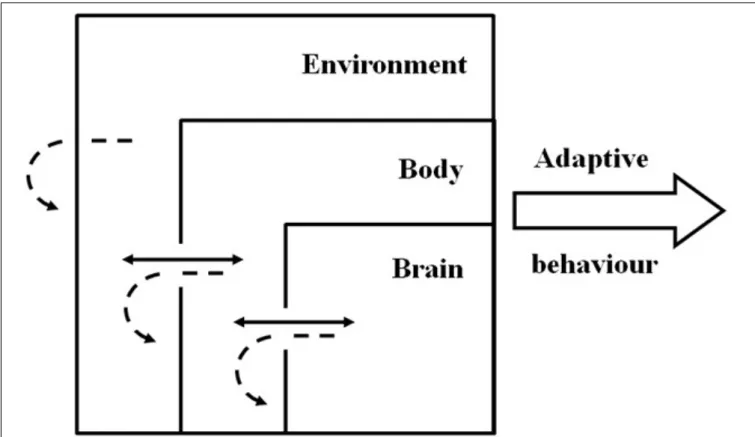 FIGURE 2 | Schematic representation of the situated-dynamic-embodied framework with adaptive behavior resulting from the emergent characteristics of brain-body-environment coupling and not from