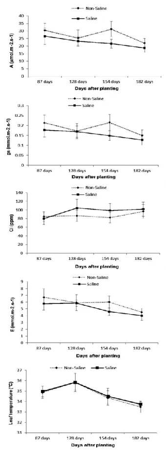 Figure 4: Analysis of the determinant parameters of  the  photosynthetic  activity:  maximum  CO2  assimilation  (A),  stomatal  conductance  (gs),  internal  CO2  concentration  (Ci),  leaf  transpiration  (E)  and  leaf  temperature  (Tl)  of  the  sugar