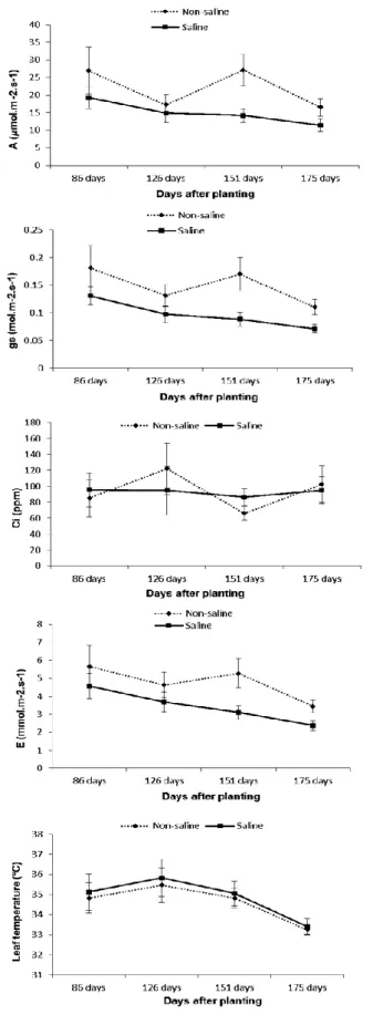 Figure 6: Analysis of the determinant parameters of  the  photosynthetic  activity:  maximum  CO2  assimilation  (A),  stomatal  conductance  (gs),  internal  CO2  concentration  (Ci),  leaf  transpiration  (E)  and  leaf  temperature  (Tl)  of  the  sugar