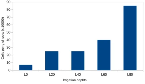 Figure 2. Similarity dendrogram based on the phenotypical characteristics of 58 putative diazotrophic bacteria obtained  from forage palm (Opuntia stricta IPA-200016) irrigated with different amounts of saline water