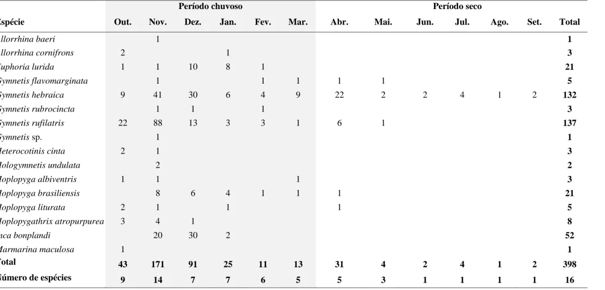 Tabela 2 - Total de indivíduos coletados por espécie de Cetoniidae na FAL em armadilha iscada com fruta fermentada no período de outubro de  2013 a setembro de 2014