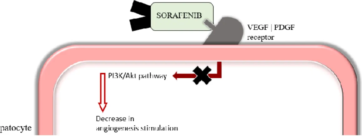 Figure  4  –  Mechanism  of  action  of  sorafenib.  VEGF:  Vascular  endothelial  growth  factor; PDGF: Platelet-derived growth factor; PI3K: phosphatidylinositol 3-kynase
