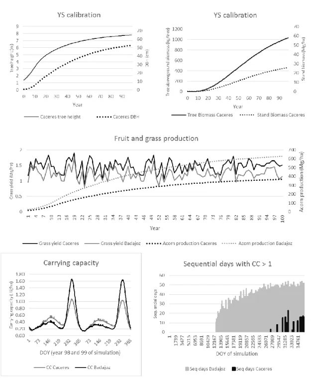 Figure 4.1. YieldSAFE predictions of height, diameter at breast height and biomass for Quercus ilex  (top)