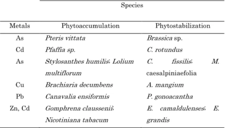 Table 3: Examples of plant species for use in phytoremediation . 