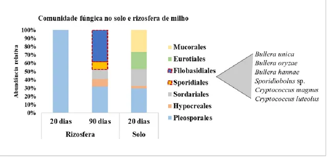 Figura  2.  Dinâmica  da  comunidade  fúngica  no  solo  e  na  rizosfera  durante  o  desenvolvimento  de  plantas  de  milho
