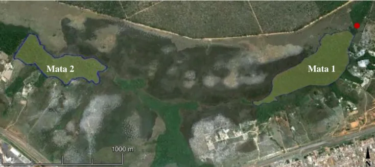 Figura 2. Área 1 da Floresta Nacional de Brasília com a localização das Matas 1 e 2. Fonte: Google  Earth (20/01/2013)