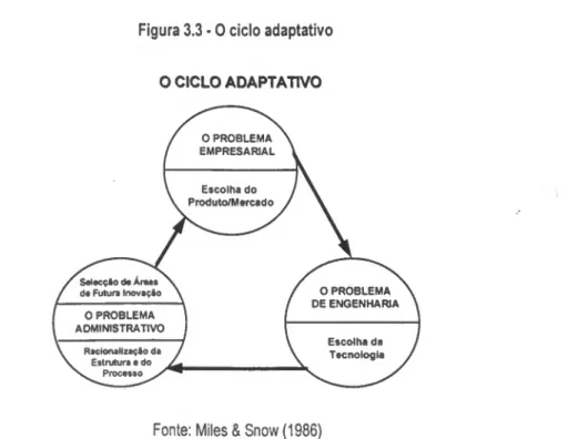 Figura 3.3 ■ 0 ciclo adaptativo  O CICLO ADAPTATIVO 