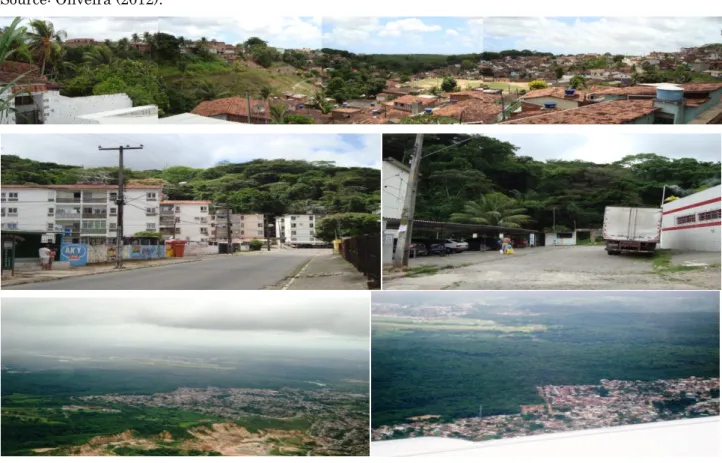 Figure 7. Anthropic pressure area surrounding the Forest of Várzea, Várzea neighborhood – Recife – PE