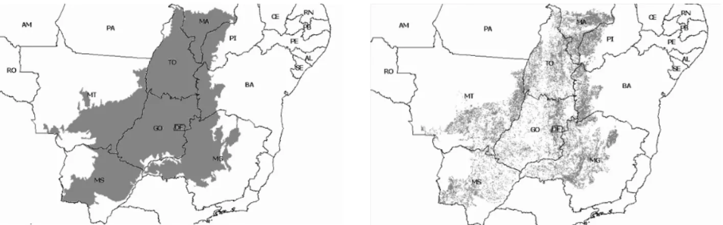 Figura 1. À esquerda a distribuição original do Cerrado, e à direita, os  remanescentes naturais do bioma em 2004 (Machado et al