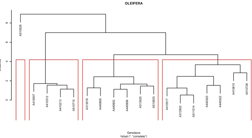 Figura  1.    Agrupamento  dos  acessos  de  E.  oleifera  usando  a  distância  euclidiana  média,  calculada  a  partir  das  variáveis  peso  e  diâmetro  longitudinal e transversal dos diásporos