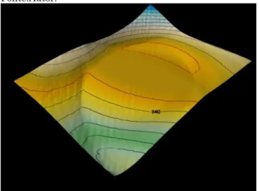 Figura  11  –  Representação  do  relevo  da  área  (1)  por  superfície e curvas de nível através da interpolação Local  Polynomial gerada pelo programa Surfer 8.0