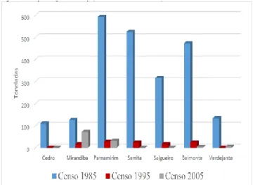 Figura 7- Produção de cebola (Fonte: IBGE 1985, 1995  e 2005). 