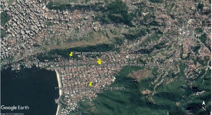 Figura  2.  Localização  do  imóvel  onde ocorreu  espoliação  de  cães por  morcego hematófago no bairro  São  Francisco,  Niterói, RJ, 2018