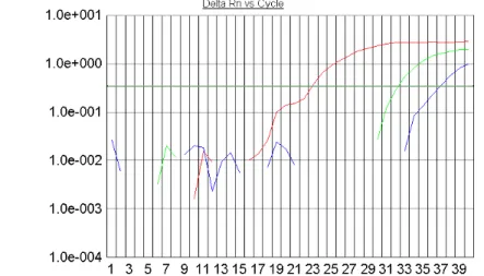 Figura 10-A figura mostra o perfil típico das curvas obtidas da esquerda para a direita durante a amplificação das  diluições  1ng,  10-3,  10-6  e  10-9  ng
