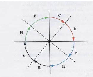 Figura 3 - Ciclo das fases e condutos relacionados na MTC (Fonte: Greten, 2010).
