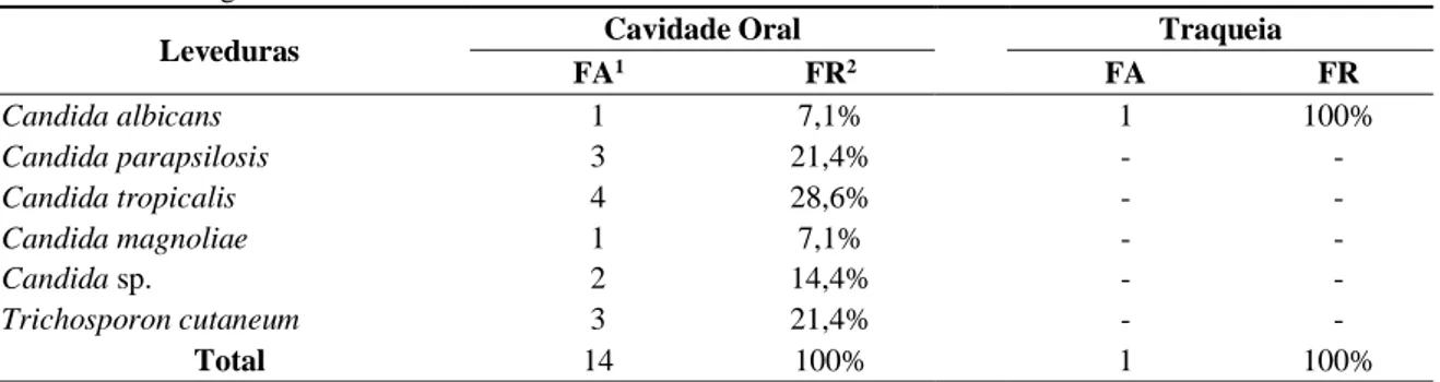 Tabela 1. Identificação das leveduras isoladas da cavidade oral e traqueia de aves de rapina procedentes de centro  de triagem