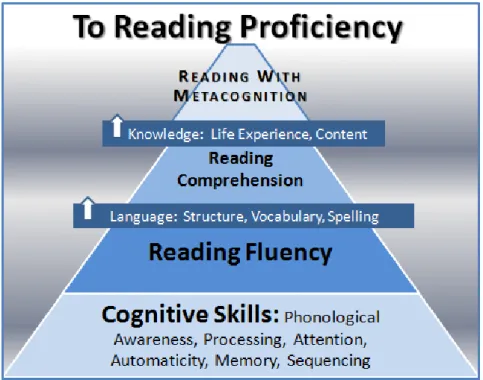Figura 9. A proficiência em leitura (GEMMLEARNING, 2013). 