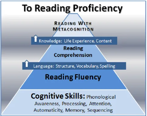Figura 9. A proficiência em leitura (GEMMLEARNING, 2013). 