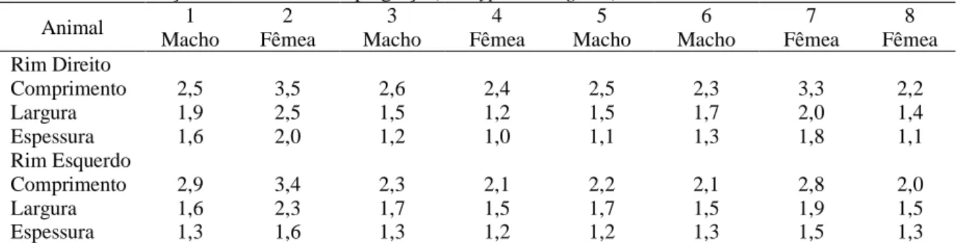 Tabela 1. Mensuração dos rins do bicho-preguiça (Bradypus variegatus) em centímetros. 