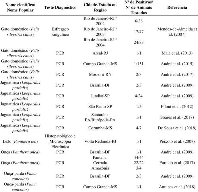 Tabela 1. Felídeos infectados por Cytauxzoon spp. no Brasil entre 2007-2018. 