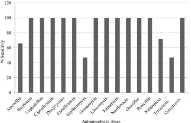 Figure  2.  Characterization  of  typical  colonies  of  Staphylococcus aureus isolated in Baird Parker  culture  medium  obtained  from  nulliparous  cows