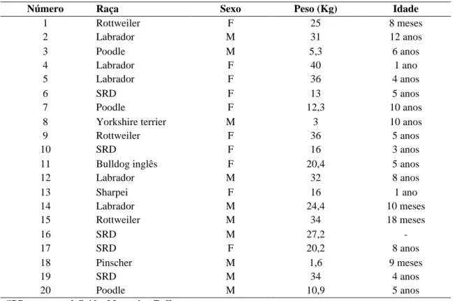 Tabela 1 - Características dos cães participantes da pesquisa. 