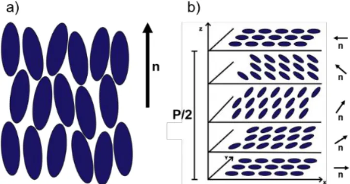 Figure  1.2  –  a)  Schematic  representation  of  a  nematic  phase,  with  its  director  n   pointing  upward;  b)  Schematic  depiction  of  a  cholesteric  phase,  where  P/2  is  half  the  length of the structure’s pitch.