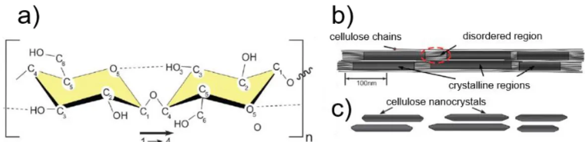 Figure 1.3 –  a) Schematic representation of the chemical structure of cellobiose, which constitutes  the  cellulose  monomer  cellulose