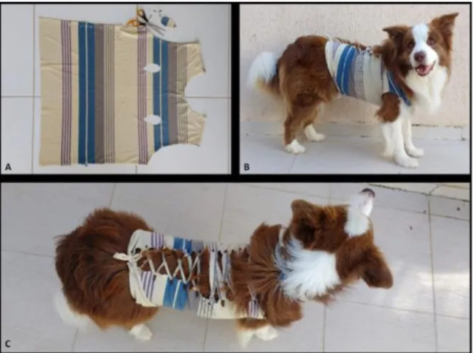 Figura  1.  Corte  da  camisa  (A).  Vista  lateral  de  cão  da  raça  Border Collie usando a roupa artesanal (B)