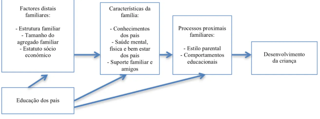 Figura 1 - Esquema conceptual sobre os efeitos mediadores da educação dos pais no desenvolvimento da criança (adaptado de Feinstein, 
