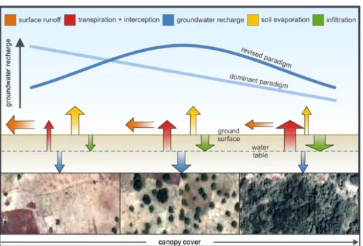 Figure 1-1.  Groundwater recharge relative to canopy cover (Ellison et al., 2017) 