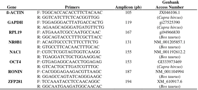 Table 1.  Primers for  both reverse transcriptase-polymerase chain reaction (RT-PCR) and quantitative RT- RT-PCR  (RT-qRT-PCR)  assays  for  detection  of  pluripotency-associated  transcription  factors  in  goat  preimplantation embryos