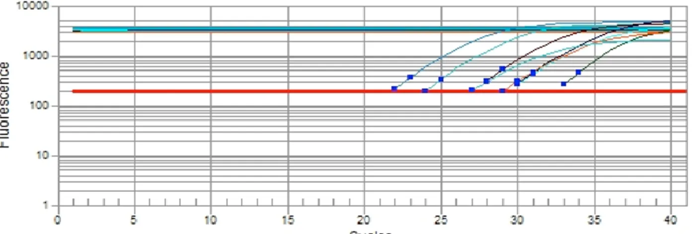 Figure  3.  Expression  of  pluripotency-associated  transcrition  factor  in  goat  parthenogenetic  blastocysts  by  the  quantitative  reverse  transcriptase-polymerase chain reaction (RT-qPCR) assay