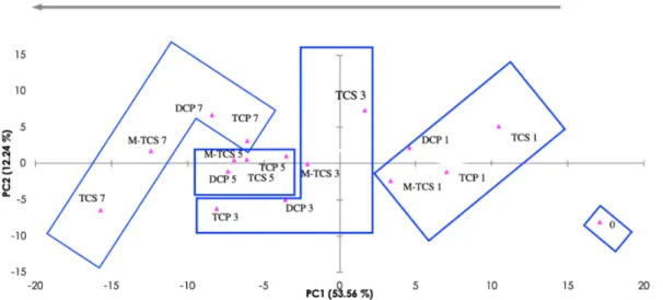 Figure 3. Principal component analysis (PCA) Score plot for the electronic tongue (five types of  sensors) for 2,4,6-Trichlorophenol (TCP), 2,4-Dichlorophenol (DCP), triclosan (TCS), and metabolite  methyl-triclosan (M-TCS)) individual measurements in the 