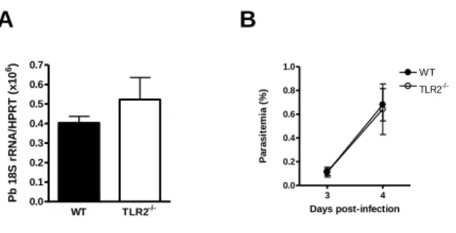 Figure 2 TLR2-knockout mice do not show significant differences from wild-type controls  after  infection  with P