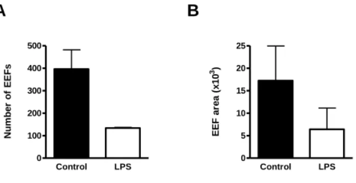 Figure 5 LPS is detrimental to parasite development in vitro.  Hepa1-6 cells  were incubated  with  10µg  of  LPS  troughout  infection  with  2x10 4 P