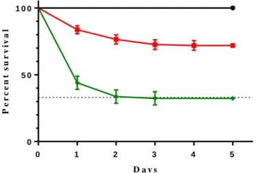 Figure  3.1.  Survival  Curve,  Previous  (P)  vs  Adapt  (A)  protocol.  Trajectories  of  survival  of  outbred  control  population  infected with entomopathogenic bacterium Pseudomonas entomophila using two different protocols, 5 dpi
