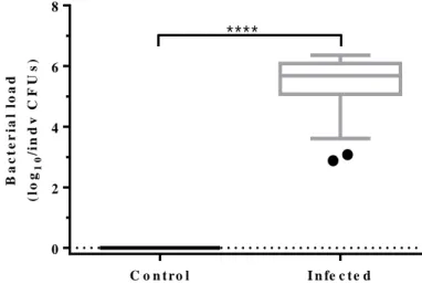 Figure  3.5. Bacteria  load  of  infected  flies.  Bacterial  loads  in  individual  flies  at  0  hours  after  infection